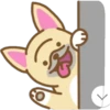 Perritos Bonitos 20