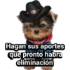 Cachorros tiernos 29