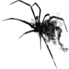 Dark Halloween 30