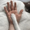 Gatinhos que curam a depressão 28