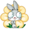 Bunyboo 29