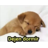 Dejen dormir