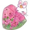 Pinky Bunny 30