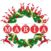 NombresNavideños 2 26