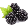 Food - Fruits 28