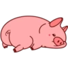 Pig 02 26