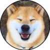 Perrito 30