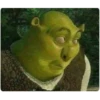 Stfu trash 4