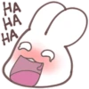 Psycho Bunny 5