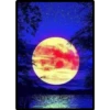 La luna y el sol 6