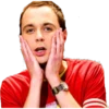 THE BIG BANG THEORY 5
