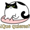 ¿Que quieres?