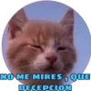 NO ME MIRES, QUE
DECEPCION