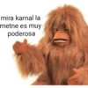 mucha risa 9