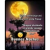 La luna y el sol 8