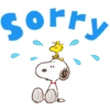 SnoopyGift 5