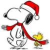 Natal 5