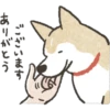 ございます
ありがとう