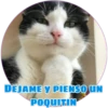 DEJAME Y PIENSO UN
POQUITIN