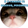 A TI TAMBIÉN TE
OBSERVO, PERSONITA