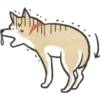 ليد