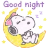 SnoopyGift 7