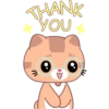 THANK
YOU