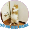 YO NO DIJE NADA