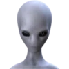 Alien Life 12