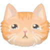 Amantes🐱gatitos 9