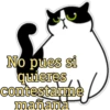 No pues si
quieres
contestarme
mañana
L