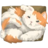 Amantes🐱gatitos 11