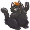 Amantes🐱gatitos 12