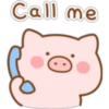 Mini Pig (Classic) 14