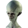 Alien Life 16