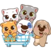 Pets 11