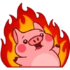 Pig 01 11