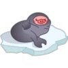 Pig 01 13