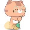 ginger CAT 13