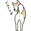 활방사하는