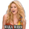 .♫♬ Shakira ♫♬ 10