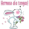 Hermoso día tengas!
Korna