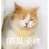 花花与三猫表情包 12