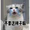 花花与三猫表情包 13