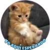 YO AQUÍ ESPERANDO
