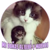 ME DANAS AL BEBE Y MUERES