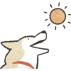 Dog Shiba Inu 17