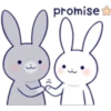 promise