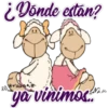 ️ Ovejita Cute #1 ️ 13
