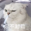 花花与三猫表情包 16